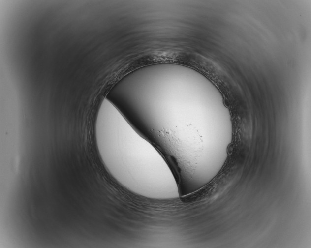 X0000096170649200801180831