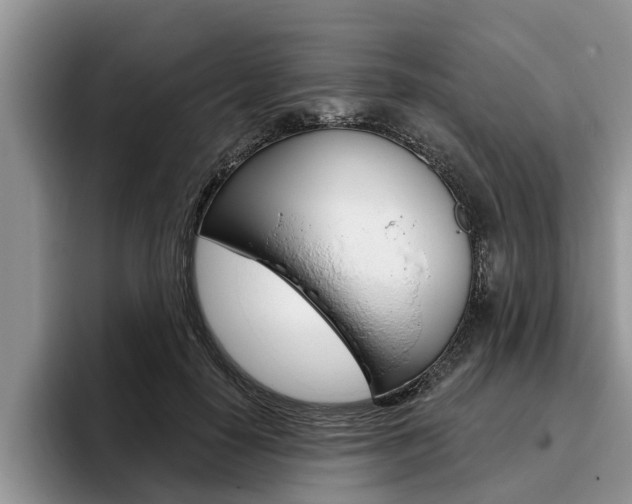 X0000096170650200801180831