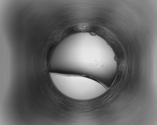 X0000096170651200801180831
