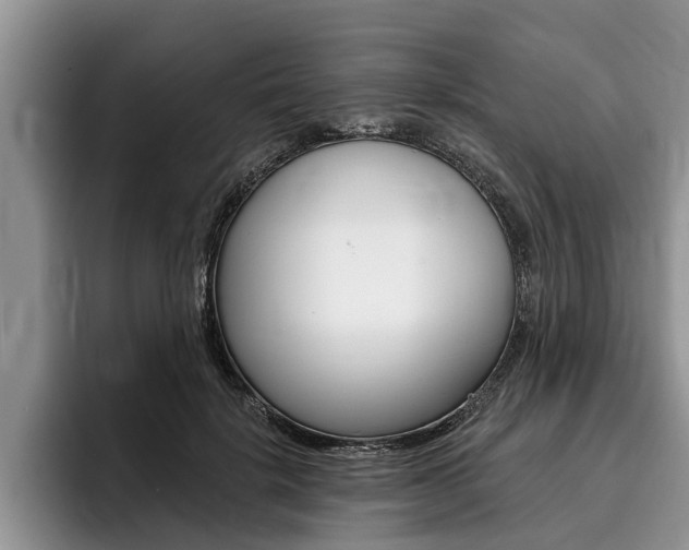 X0000096170652200801180831