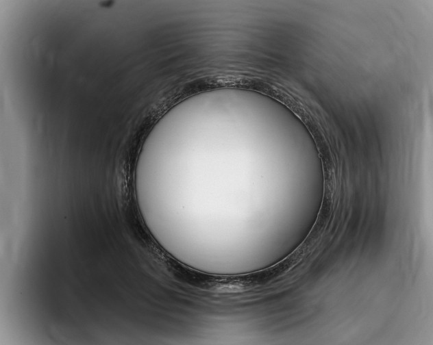 X0000096170653200801180831