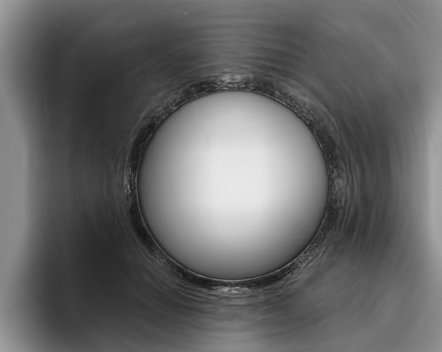 X0000096170654200801180831