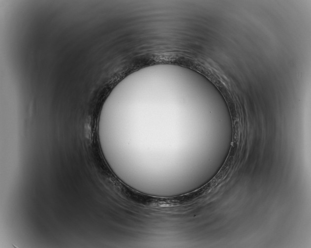 X0000096170655200801180831