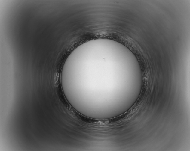 X0000096170660200801180831