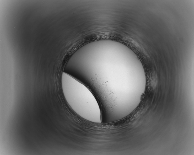 X0000096170661200801180831
