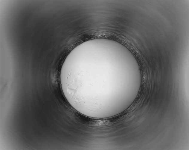 X0000096170663200801180831