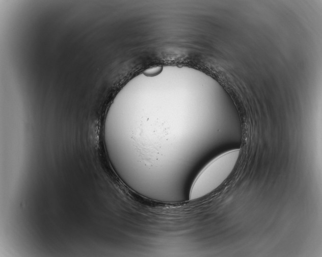 X0000096170664200801180831