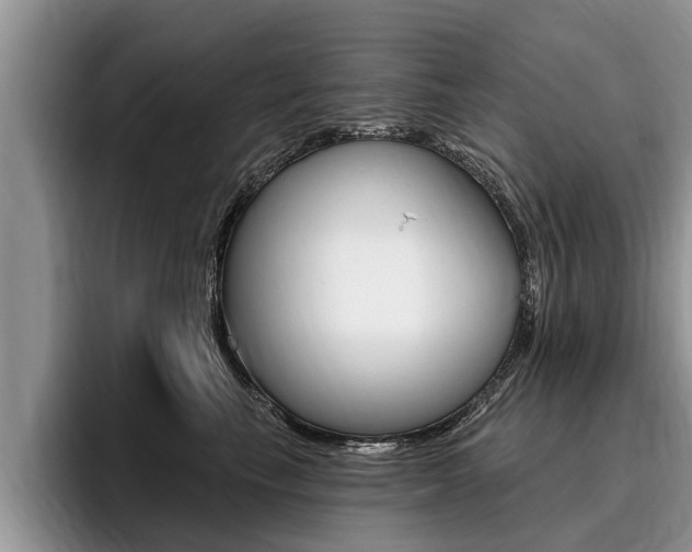 X0000096170665200801180831