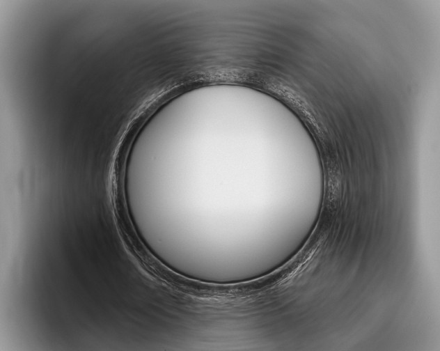 X0000096170674200801180831