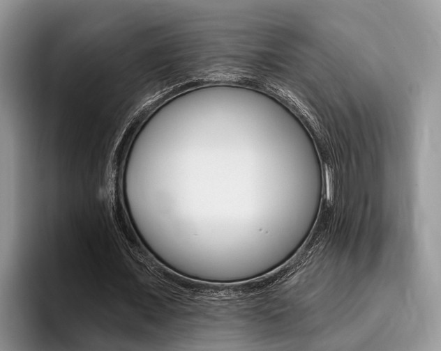 X0000096170675200801180831