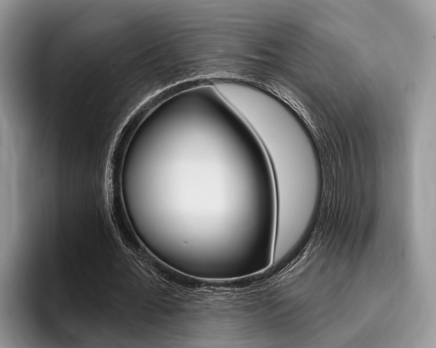 X0000096170676200801180830