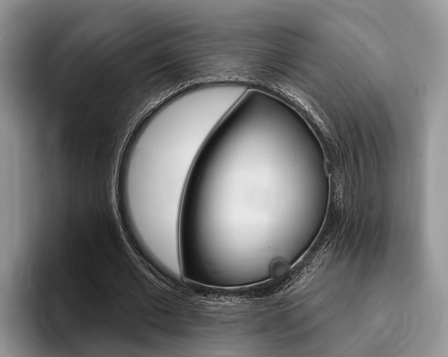 X0000096170677200801180830