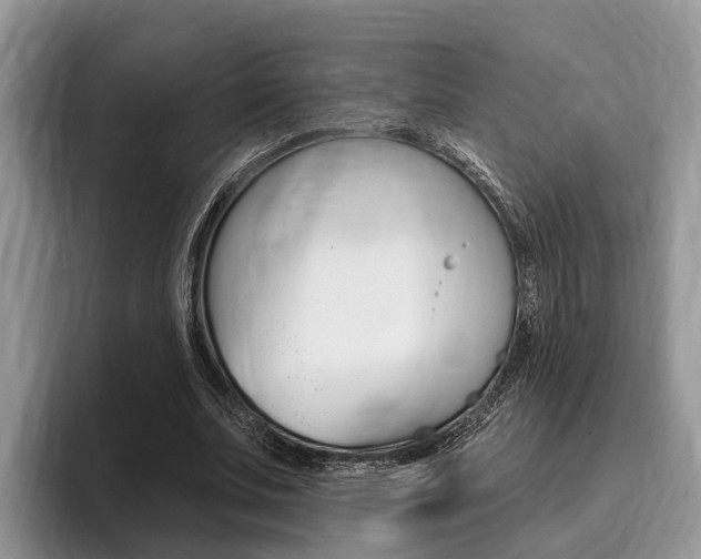 X0000096170679200801180830