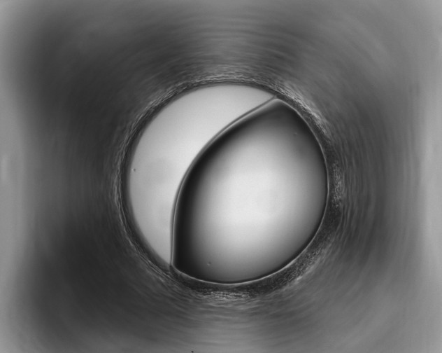 X0000096170681200801180830