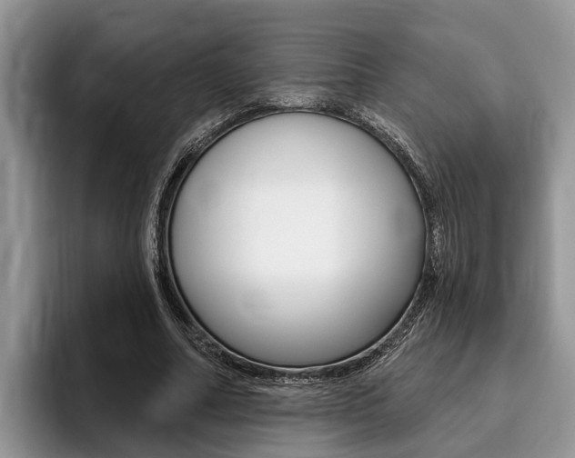 X0000096170682200801180830