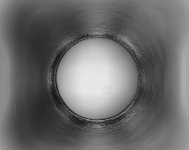 X0000096170683200801180830