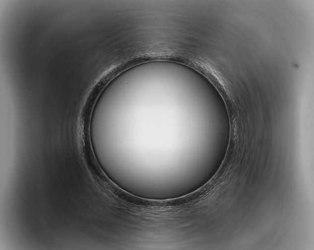 X0000096170684200801180830