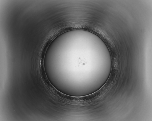 X0000096170685200801180830