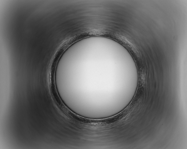 X0000096170686200801180830