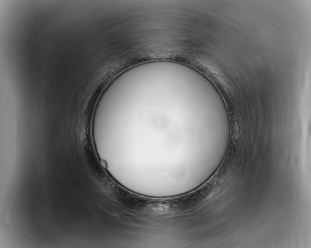 X0000096170687200801180830