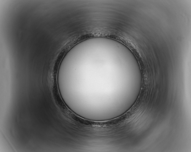 X0000096170690200801180830