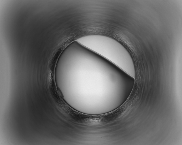 X0000096170692200801180830