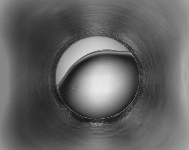 X0000096170693200801180830
