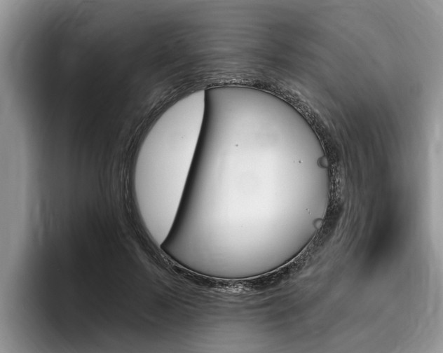 X0000096170695200801180830