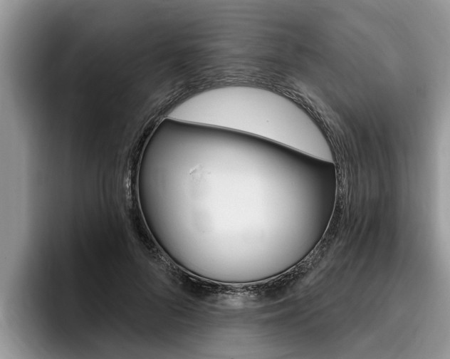 X0000096170696200801180830
