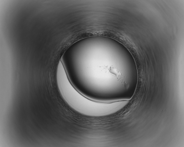 X0000096170697200801180830
