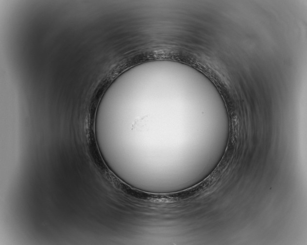 X0000096170698200801180830