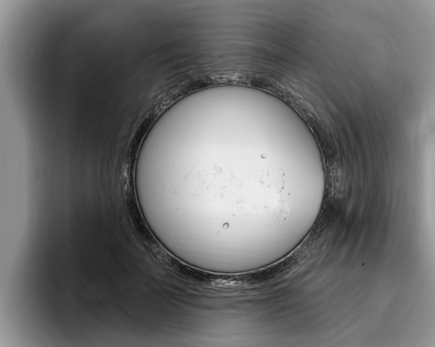 X0000096170699200801180830