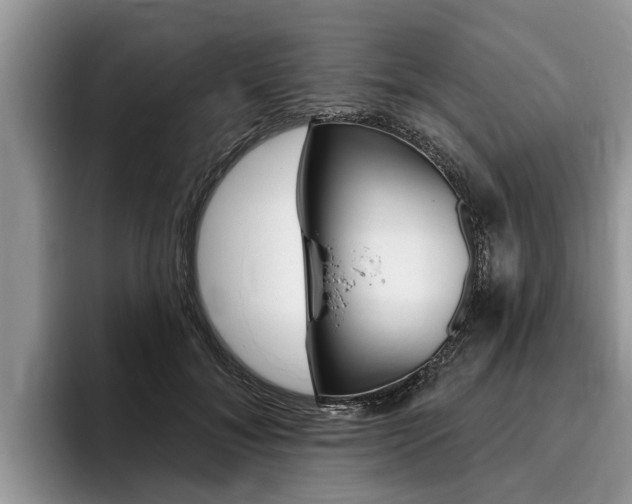 X0000096170700200801180830