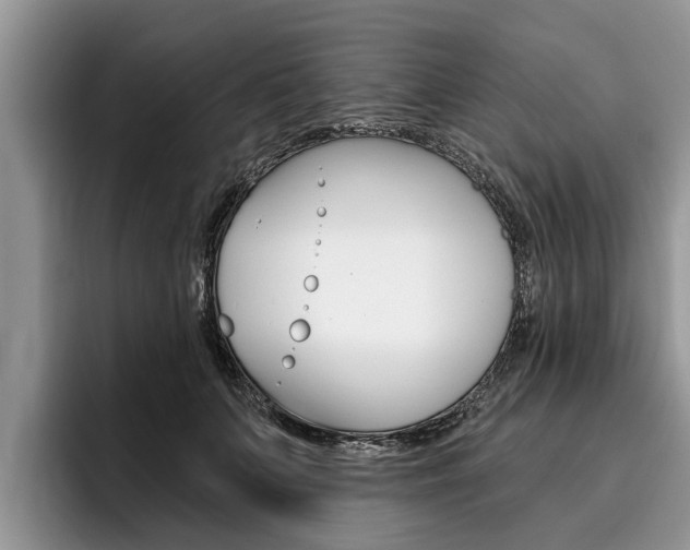 X0000096170703200801180830