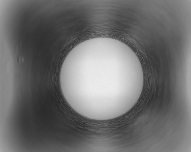 X0000096170705200801180830