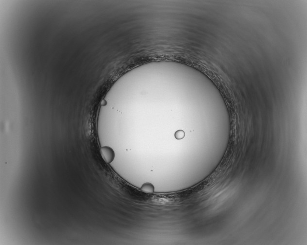 X0000096170706200801180830