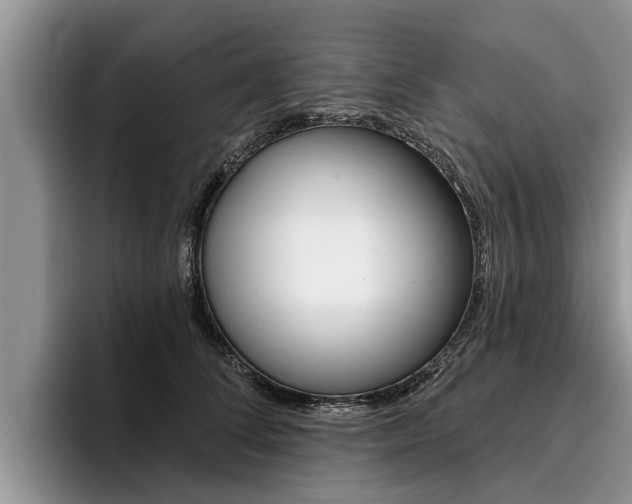 X0000096170708200801180830
