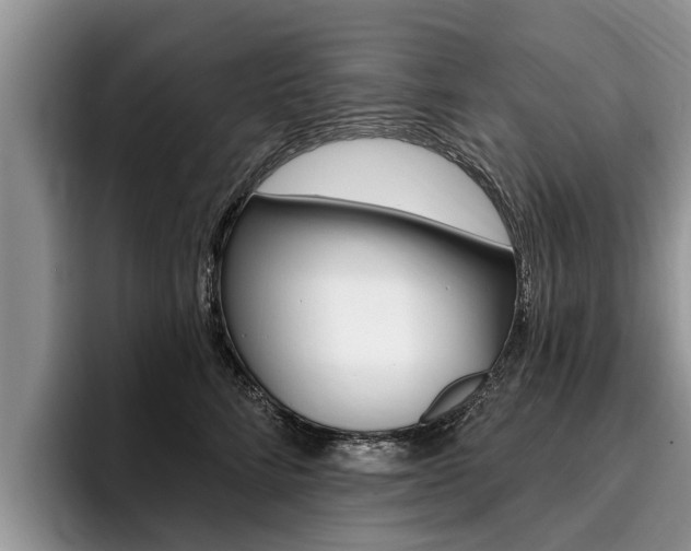 X0000096170712200801180830