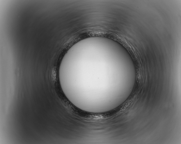 X0000096170715200801180830