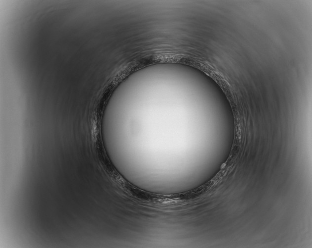 X0000096170716200801180830