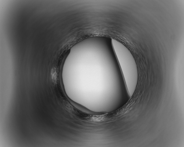 X0000096170720200801180830