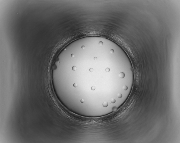 X0000096170721200801180829
