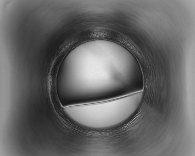 X0000096170722200801180829