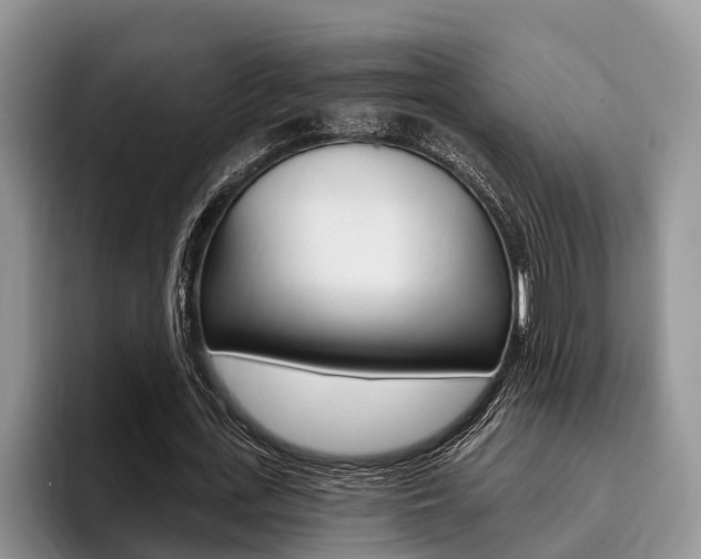 X0000096170723200801180829