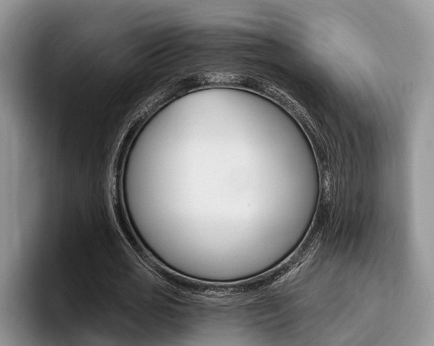 X0000096170725200801180829