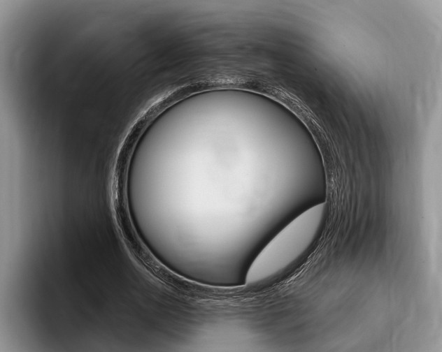 X0000096170726200801180829