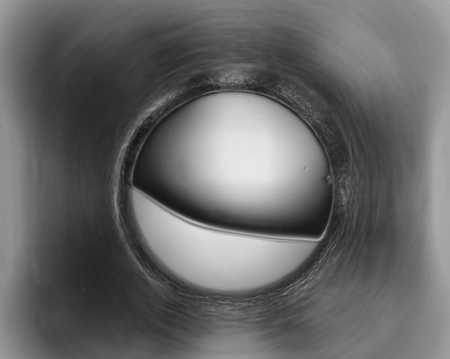 X0000096170728200801180829