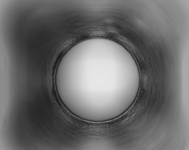 X0000096170729200801180829