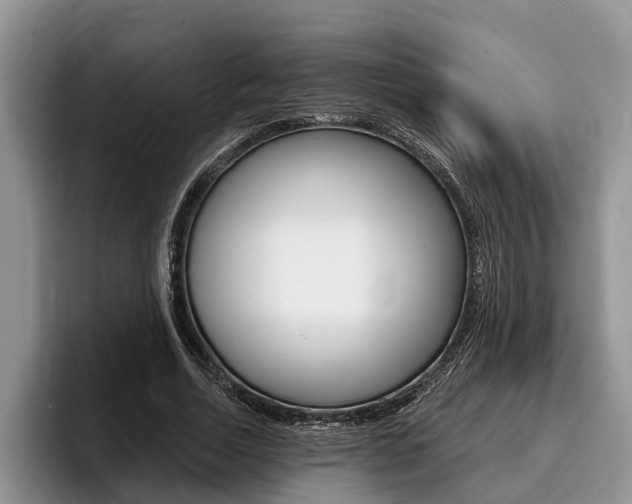 X0000096170730200801180829