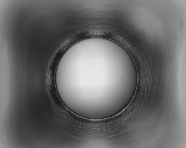 X0000096170731200801180829